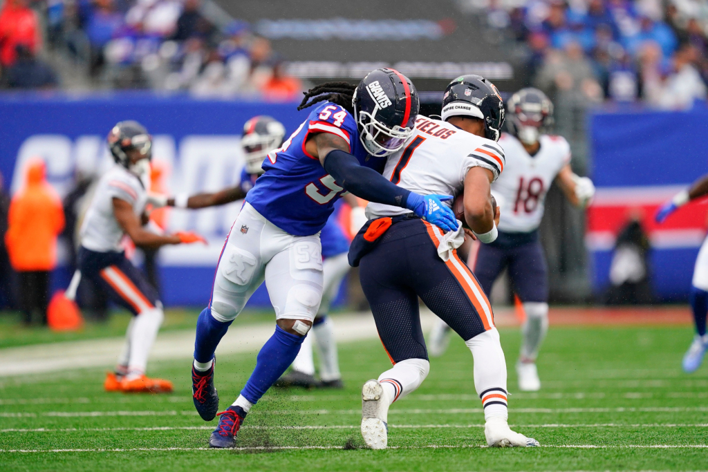 Chicago Bears lost to the Giants… and the Arlington Heights board